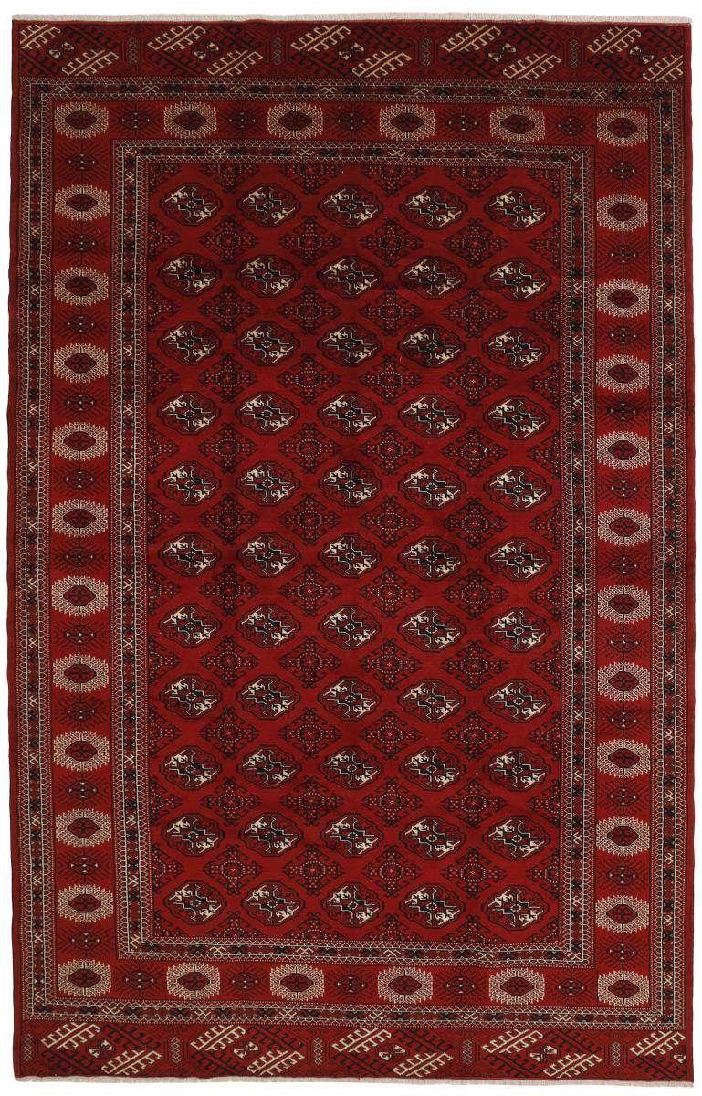 Orientteppich Turkaman 247x379 Handgeknüpfter Orientteppich / Perserteppich, Nain Trading, rechteckig, Höhe: 6 mm