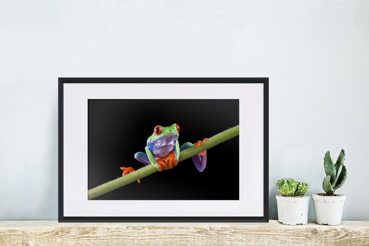 Schwarzem Kunstdruck, - Poster, - Gerahmtes Poster MuchoWow Frosch Rahmen, St), Pflanze mit (1 Bilderrahmen Schwarz,