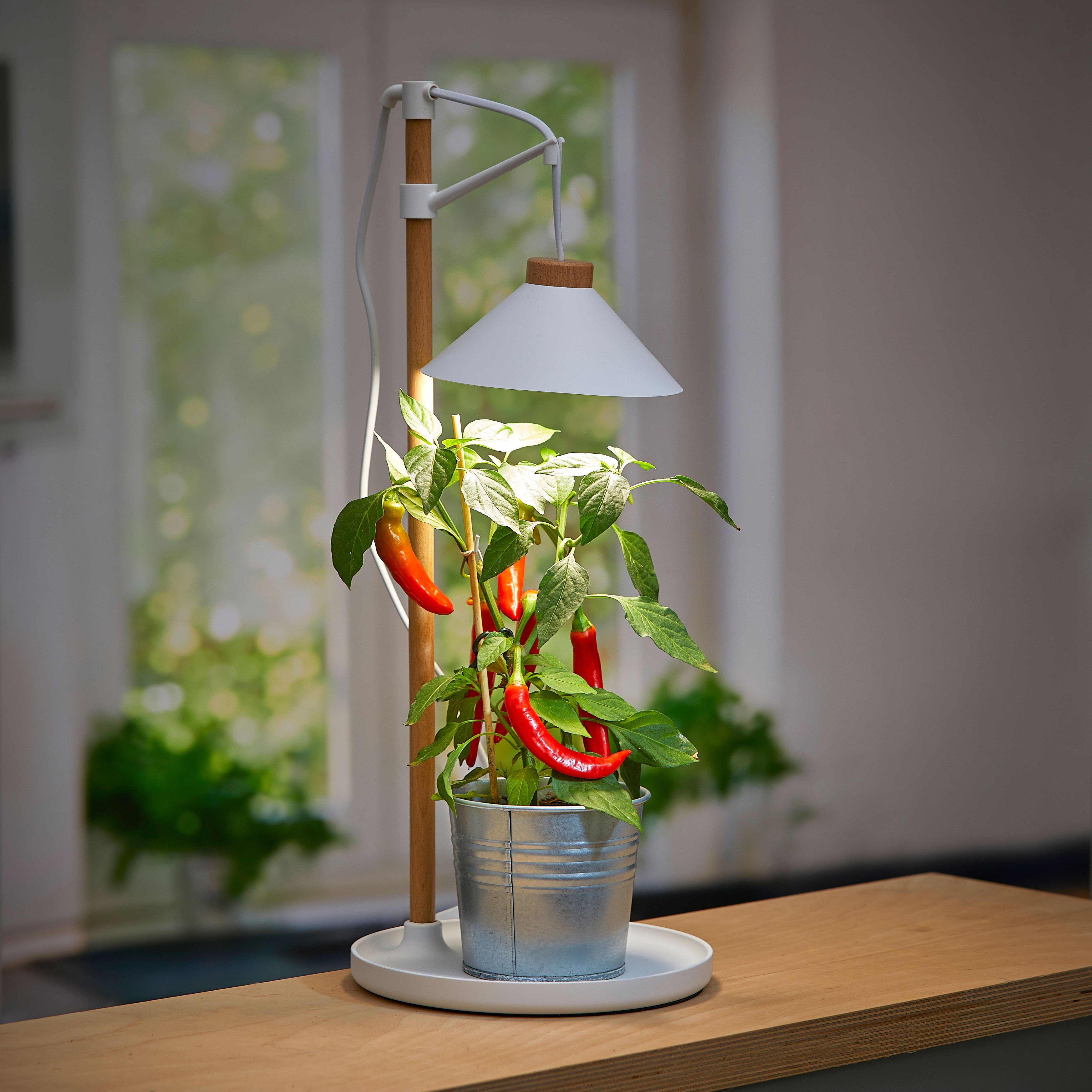 Northpoint Pflanzenlampe LED Pflanzenleuchte Kräutergarten aus günstig online kaufen
