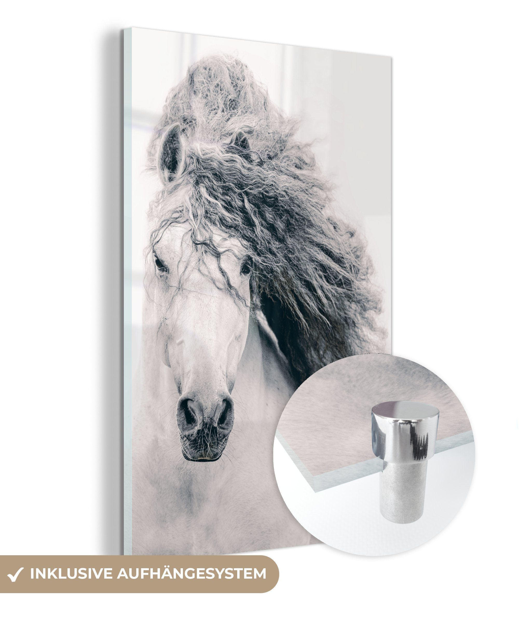 MuchoWow Acrylglasbild Pferd - Grau Glasbilder Bilder (1 St), Foto Glas - Wanddekoration Glas - - Mähne, auf Wandbild - auf