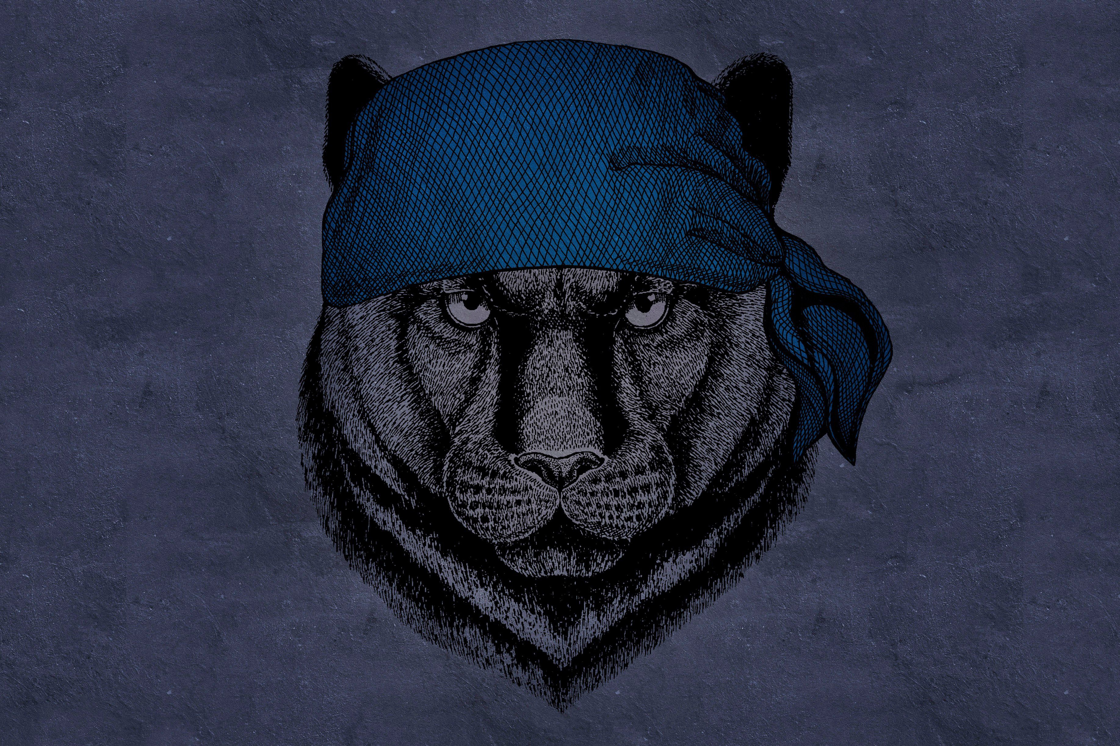 Tier Wild panther, blau, (1 A.S. Leinwandbild schwarz Keilrahmen Création St), Bild Panther lila, Tiere Dschungel