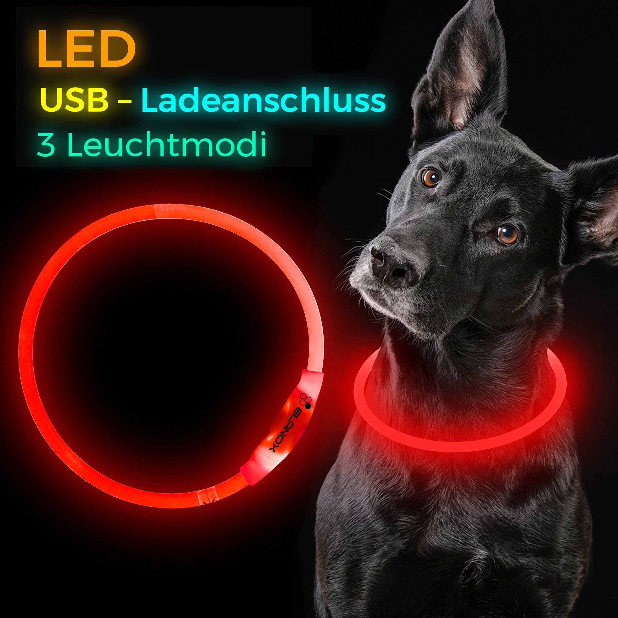 ELANOX Leuchthalsband LED Hundehalsband 5 Farben helle LED Größe anpassbar
