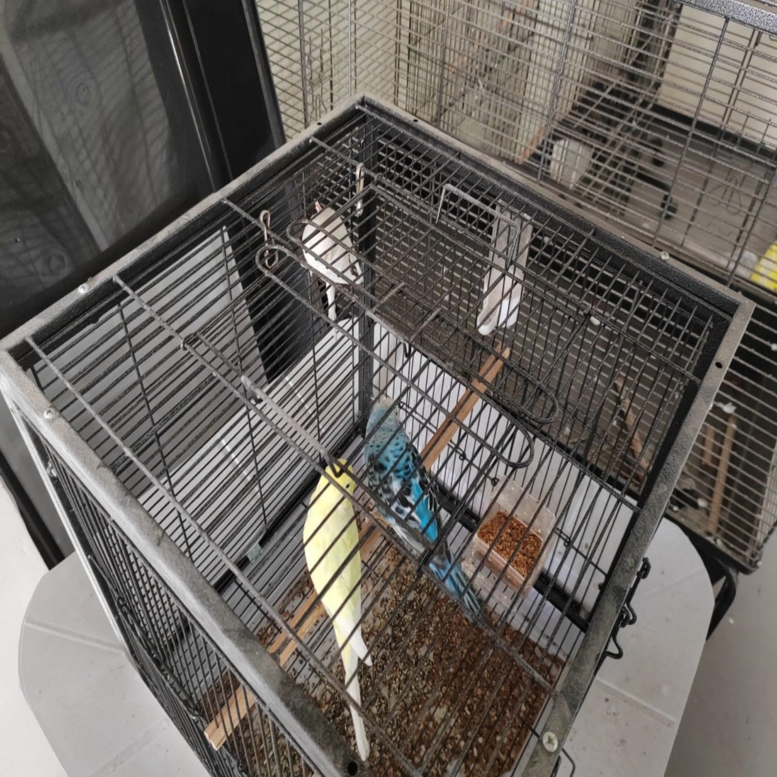 GarveeMore Vogelkäfig 24Zoll Vogelkäfig Sittichkäfig mit herausziehbarer Schublade und Griff, für Papageien,Nymphensittiche,Wellensittiche,Finken,Unzertrennliche
