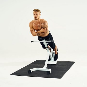 GORILLA SPORTS Rückentrainer 5-fach höhenverstellbar, bis 120 kg, mit gepolsterter Beinfixierung, (1-tlg)