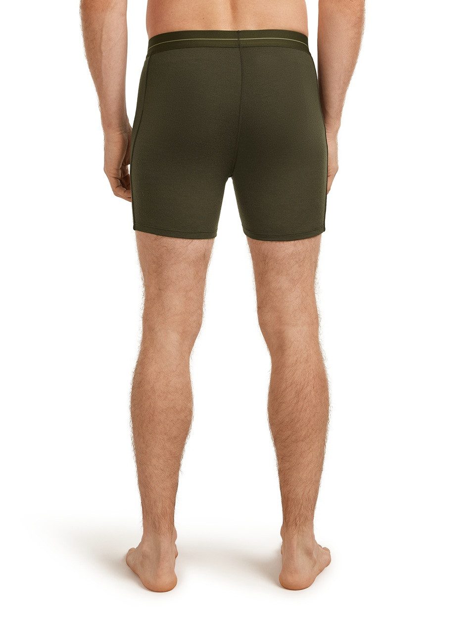 Icebreaker Boxershorts Anatomica (Merinowolle) Unterwäsche loden dunkelgrün Herren