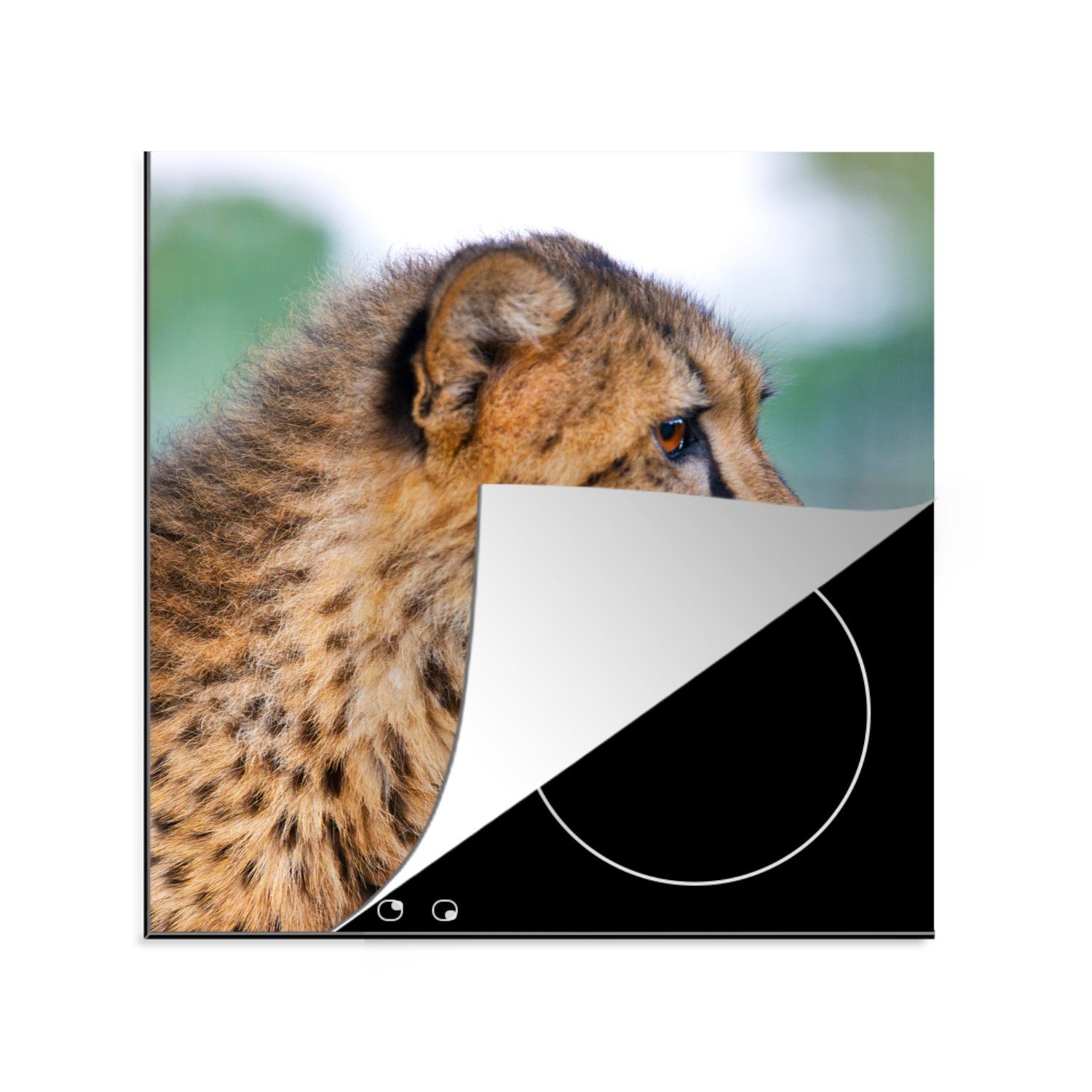 MuchoWow Herdblende-/Abdeckplatte Leopard - für cm, Vinyl, Ceranfeldabdeckung, Haar, - küche 78x78 tlg), Arbeitsplatte Kopf (1