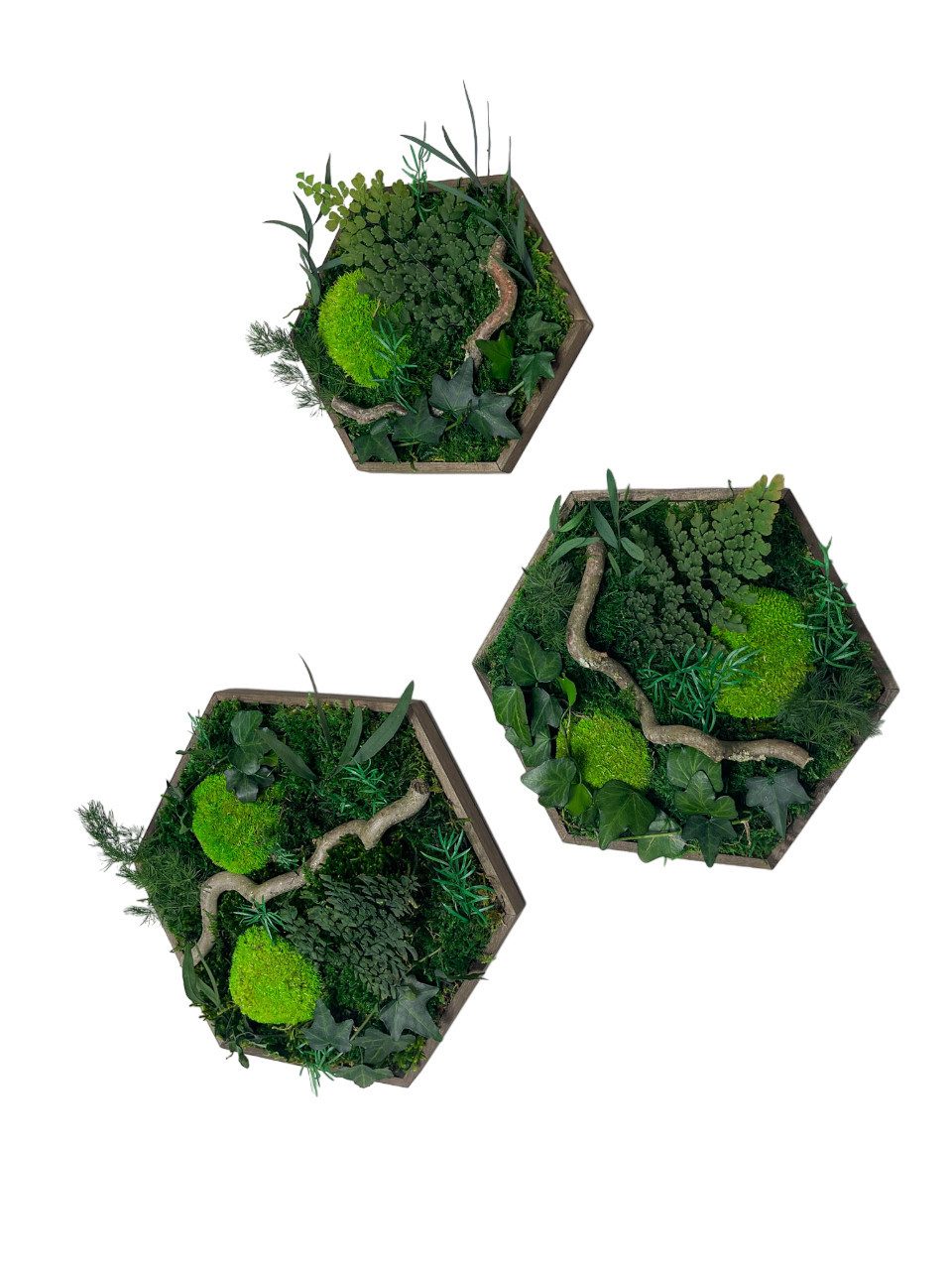 Gedankenwunder Manufaktur Bild Efeuwald Moosbild mit günstig online kaufen