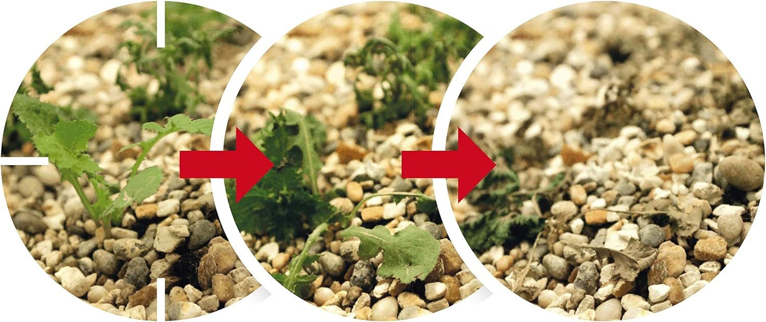 ROUNDUP Unkrautbekämpfungsmittel Roundup Express Unkrautfrei Konzentrat 250 ml