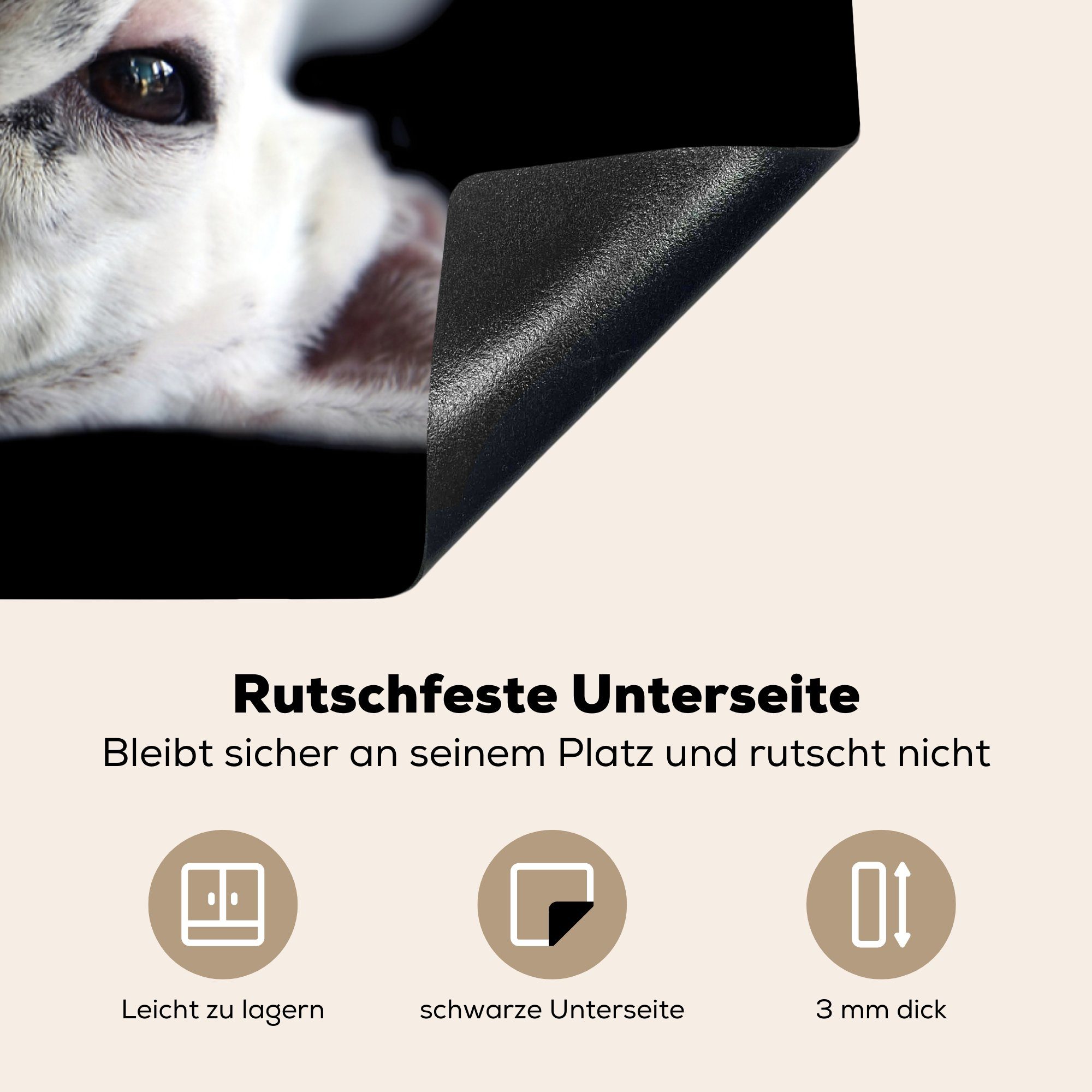 MuchoWow Herdblende-/Abdeckplatte Bulldogge auf 78x78 für dem küche cm, auf Rücken tlg), liegend schwarzem Hintergrund, (1 Arbeitsplatte Vinyl, Ceranfeldabdeckung