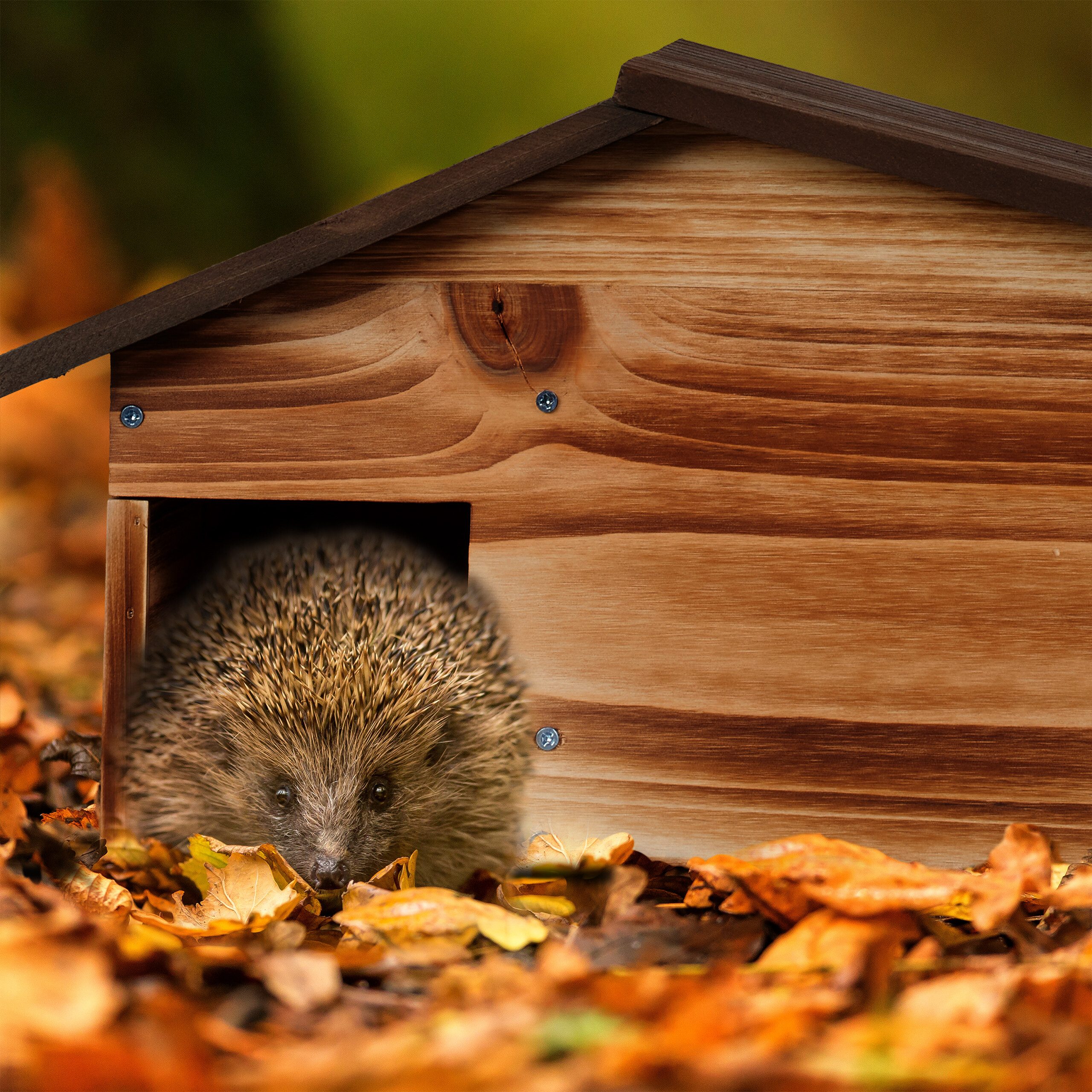 relaxdays Igelhaus mit Bode, geflammt