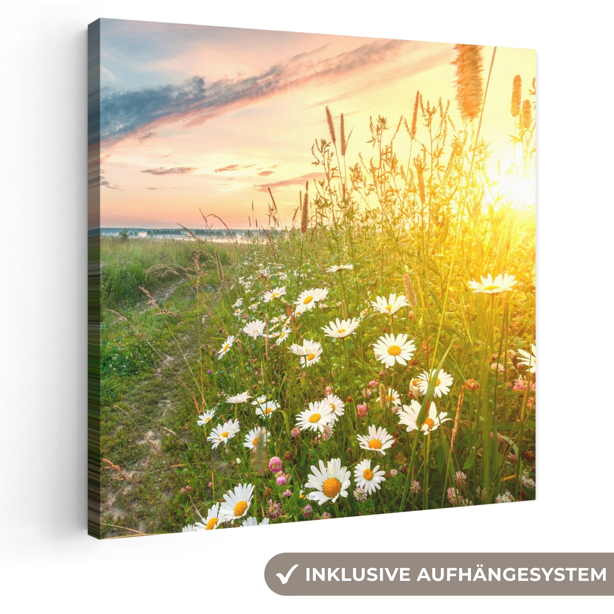OneMillionCanvasses® Leinwandbild Blumen - Gänseblümchen - Natur - Sonne - Horizont, Fotodruck (1 St), Wandbild, Deko Schlafzimmer Wohnzimmer Flur 20x20 cm
