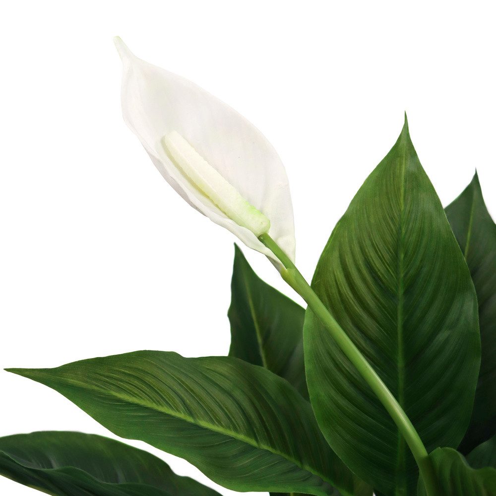 Kunstpflanze Kunstpflanze SPATHIPHYLLUM Kunststoff Einblatt, hjh günstig online kaufen