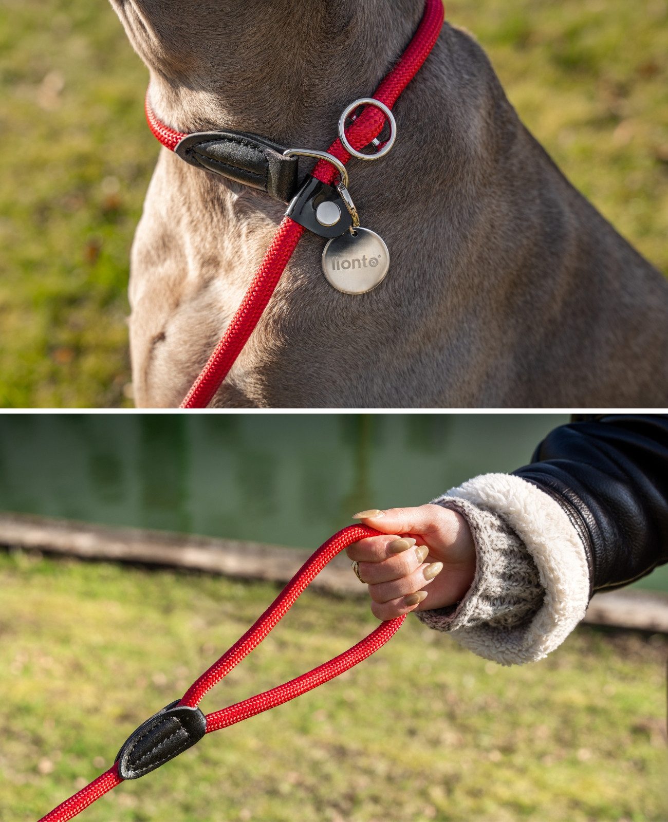 lionto Moxonleine mit Zugbegrenzung & Stopper 120 cm, Nylon, Lederimitat (1-tlg), Retrieverleine, sicher, stylisch & vegan