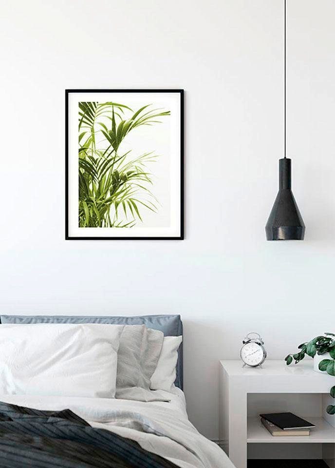 Komar Bild Reed Leaves, Blätter, Pflanzen (1 St), Wandbild zur Dekoration - ohne Rahmen