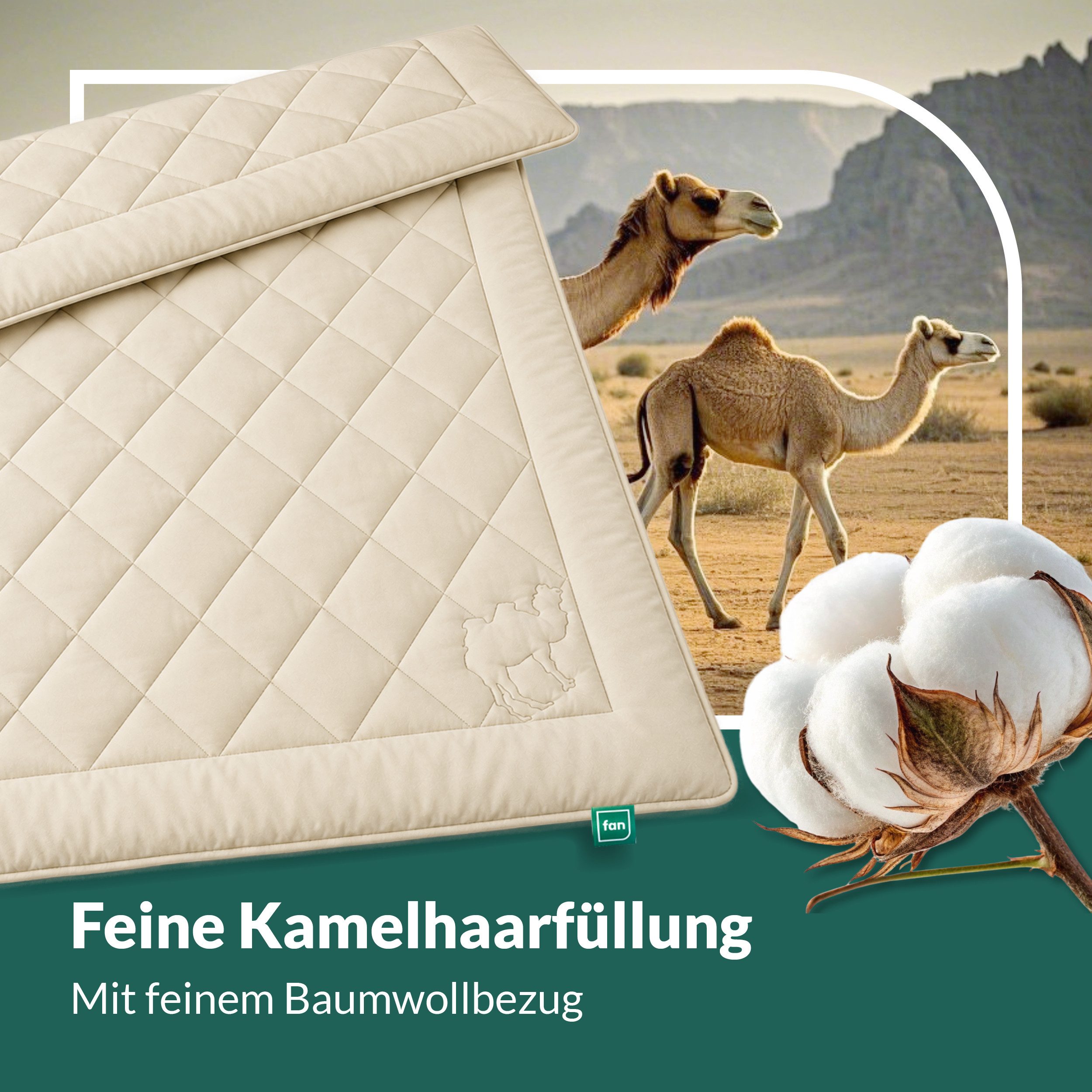 fan Naturhaarbettdecke Gobi, Bettdecken für Sommer und Winter, temperaturausgleichend, Füllung: Kamelhaar, Bezug: Baumwolle, Klimatisierende Kamelhaar-Füllung - – Bild 4 von 5