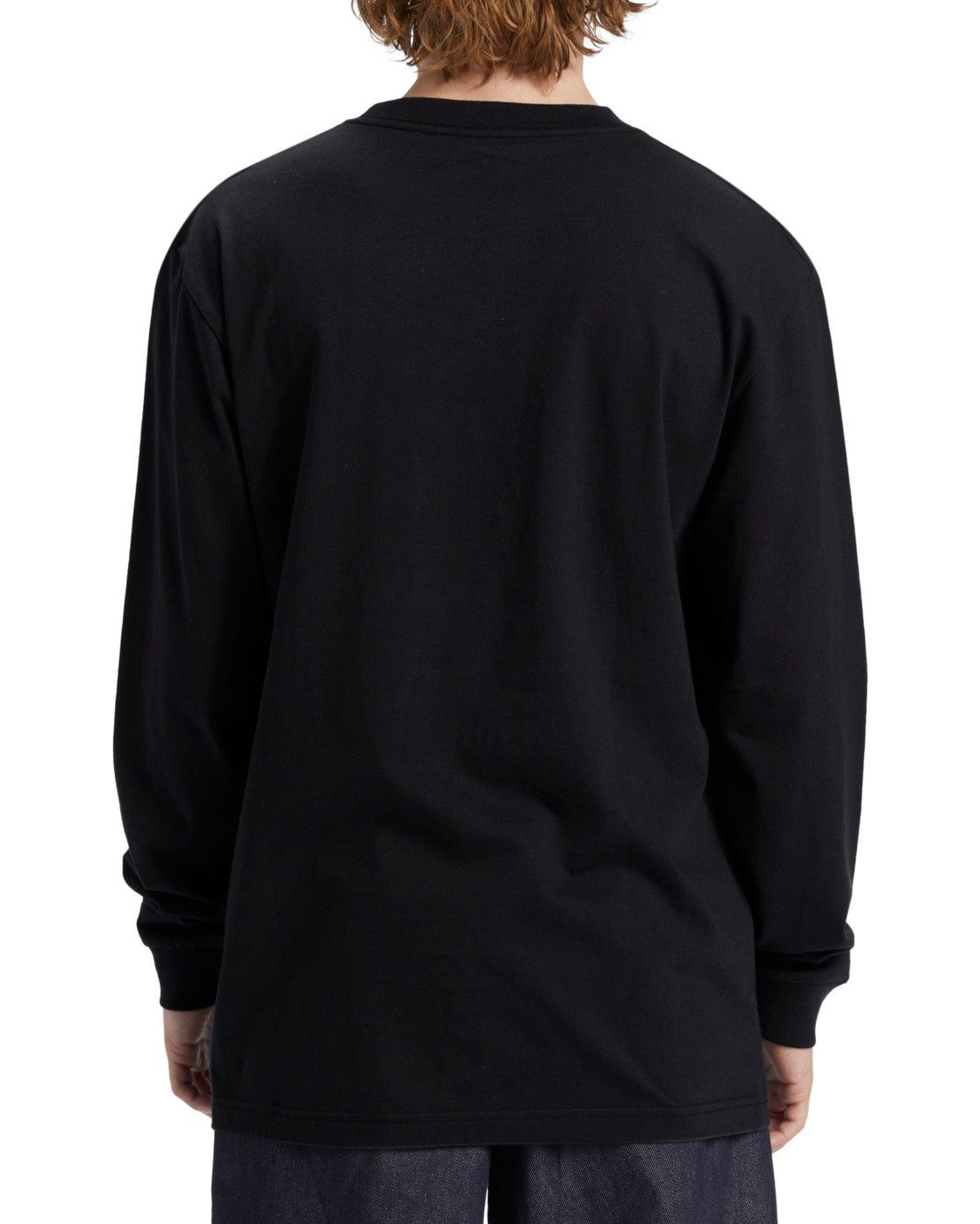 DC Shoes Langarmshirt DC Star Hls günstig online kaufen