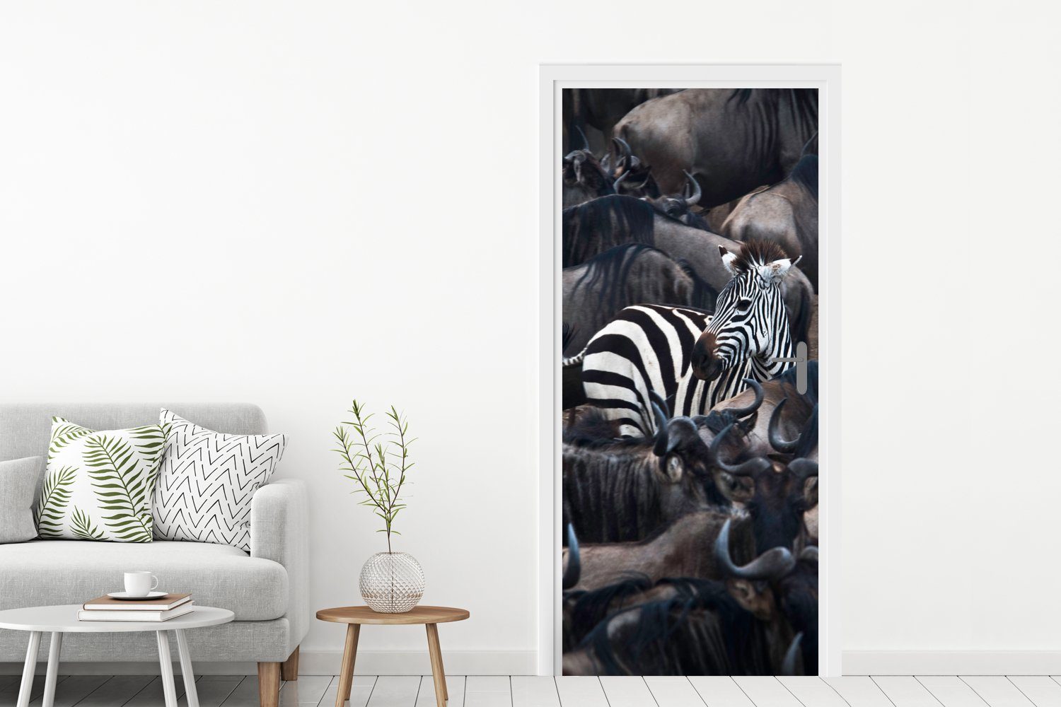 - Zebra - Matt, für 75x205 Tür, St), bedruckt, Türtapete Büffel MuchoWow Fototapete Türaufkleber, (1 cm Braun,