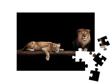 puzzleYOU Puzzle Löwe und Löwin, 48 Puzzleteile, puzzleYOU-Kollektionen Löwen, Tiere in Savanne & Wüste