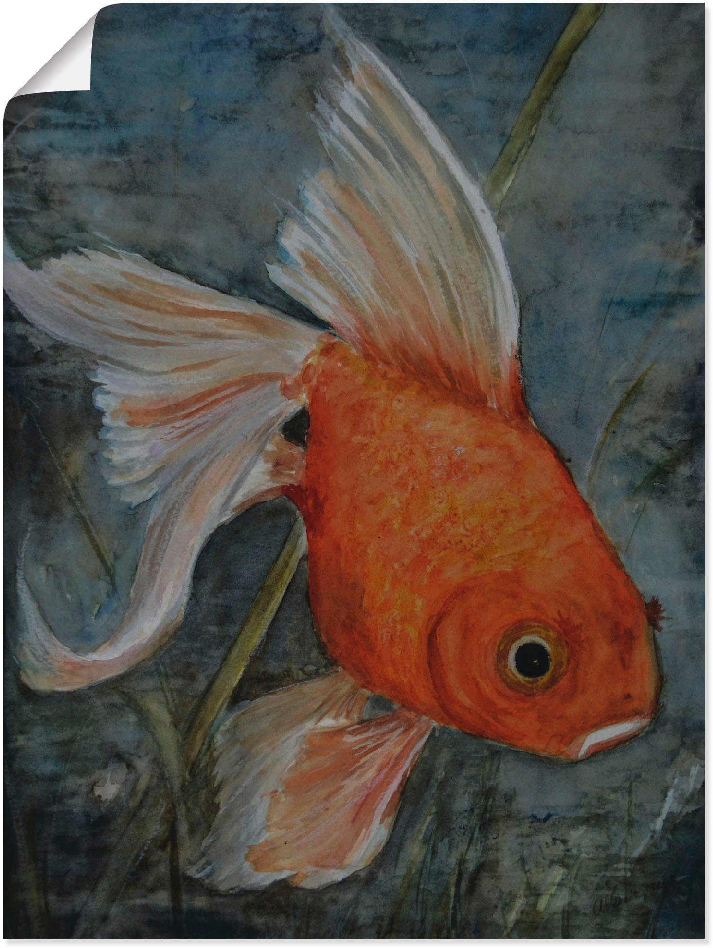 Shui versch. Größen Feng Alubild, St), in Artland Wandaufkleber Poster Goldfisch, - (1 oder Leinwandbild, Wassertiere als Wandbild