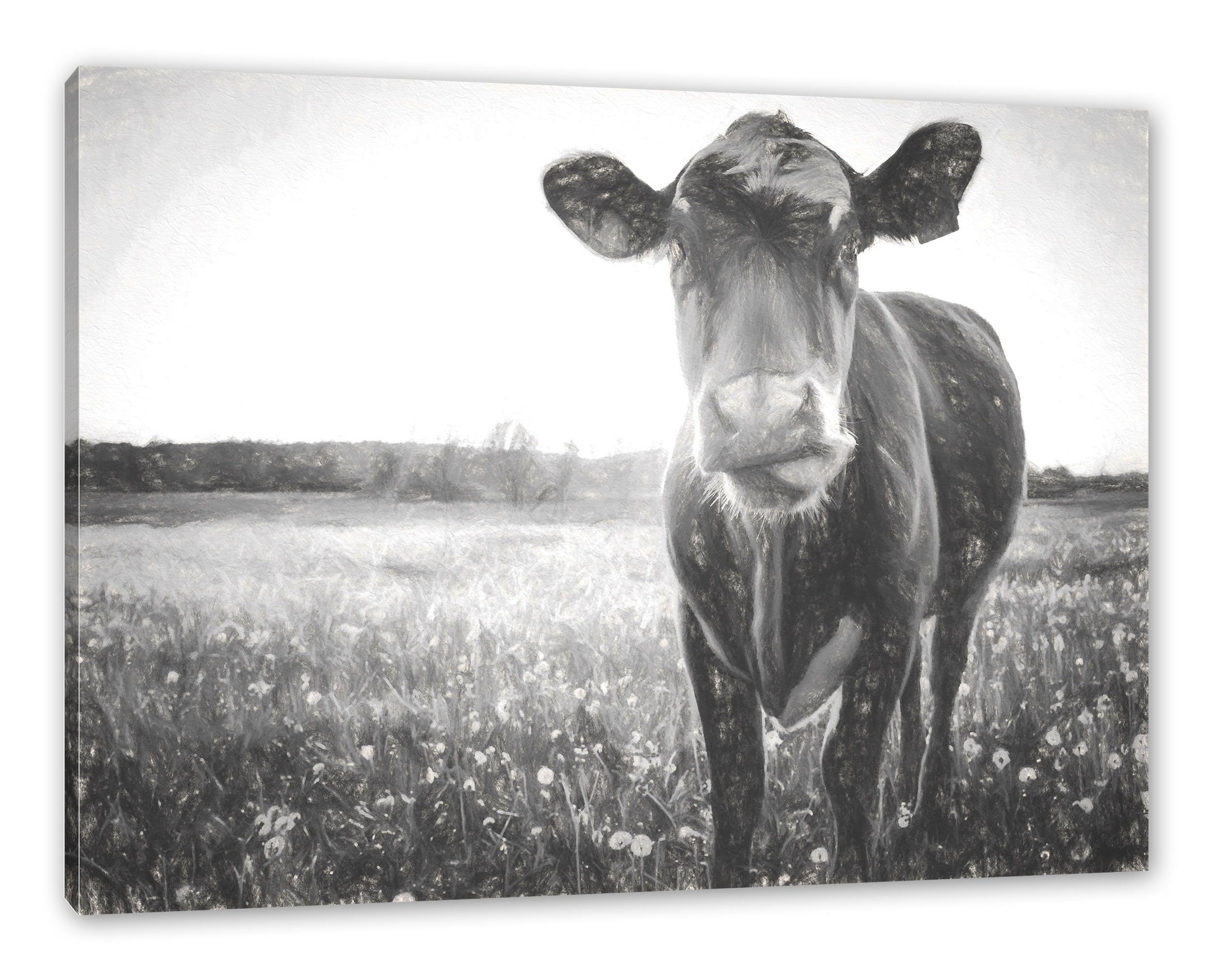 Pixxprint Leinwandbild Kuh St), Leinwandbild Zackenaufhänger Butterblumenwiese auf auf fertig (1 Butterblumenwiese, inkl. Kuh bespannt