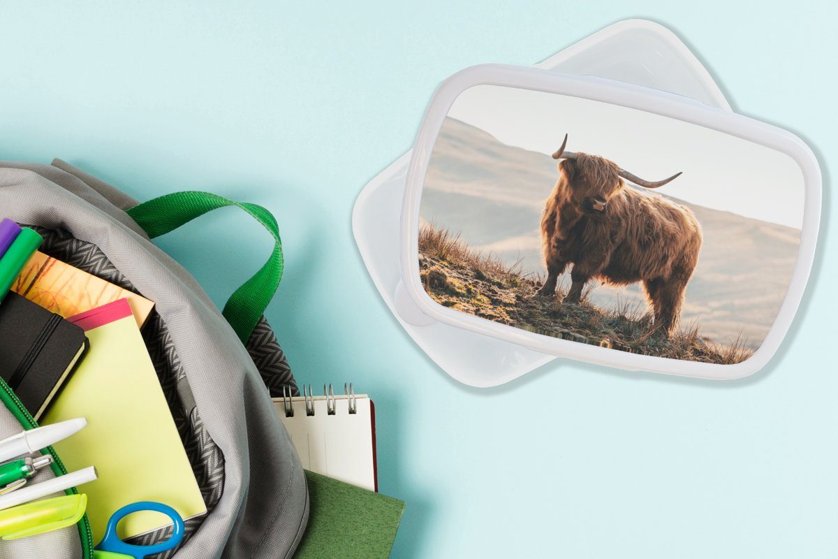 Schottische Highlander Brotdose, Jungs und und Kinder Kunststoff, Kuh Mädchen Erwachsene, - (2-tlg), Brotbox Landschaft - Tiere - für für MuchoWow Lunchbox - Ländlich weiß - Natur,