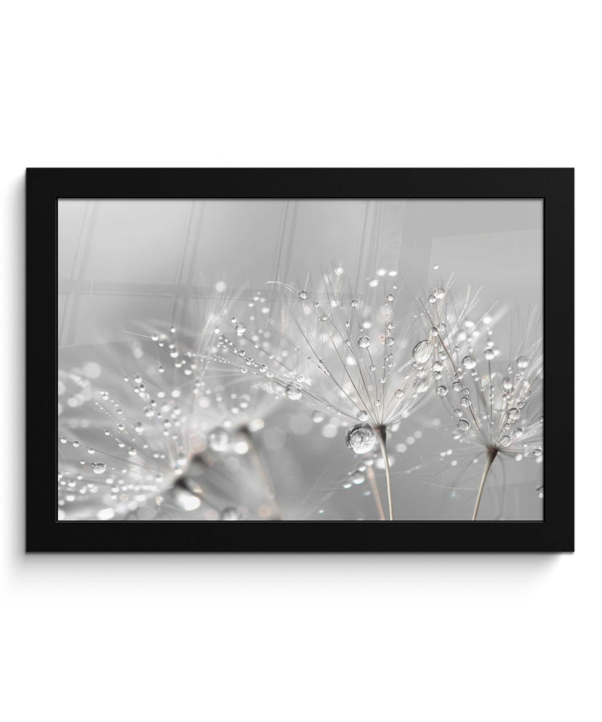 MuchoWow Poster Löwenzahn - Wassertropfen - Stilleben - Modern, (1 St), Wandbilder, Deko Wohnzimmer Schlafzimmer, 30x20 cm