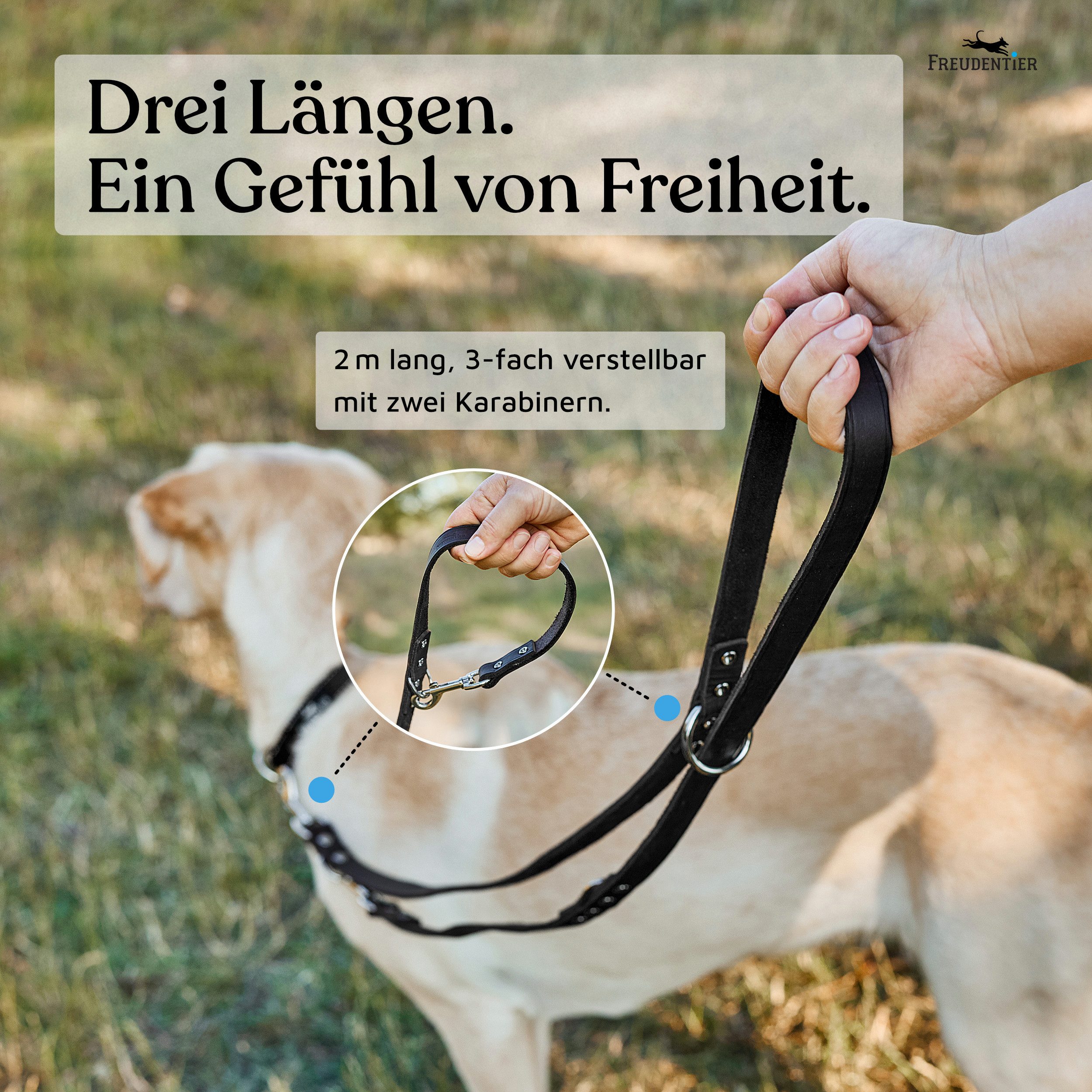 Freudentier Hundeleine aus Leder, verstellbare Führleine, Alsterufer Kollektion