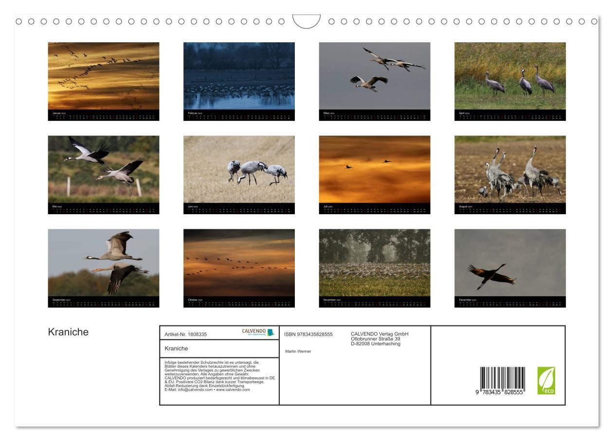 Thumbnail - CALVENDO Wandkalender Kraniche (Wandkalender 2025 DIN A3 quer), CALVENDO Monatskalender