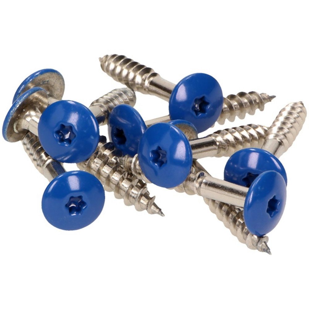 Meisterling® Fassadenschraube INOX, (V4A - 5,5 x 35 mm, Flachkopf Torx T20, 100 Stk), Enzianblau