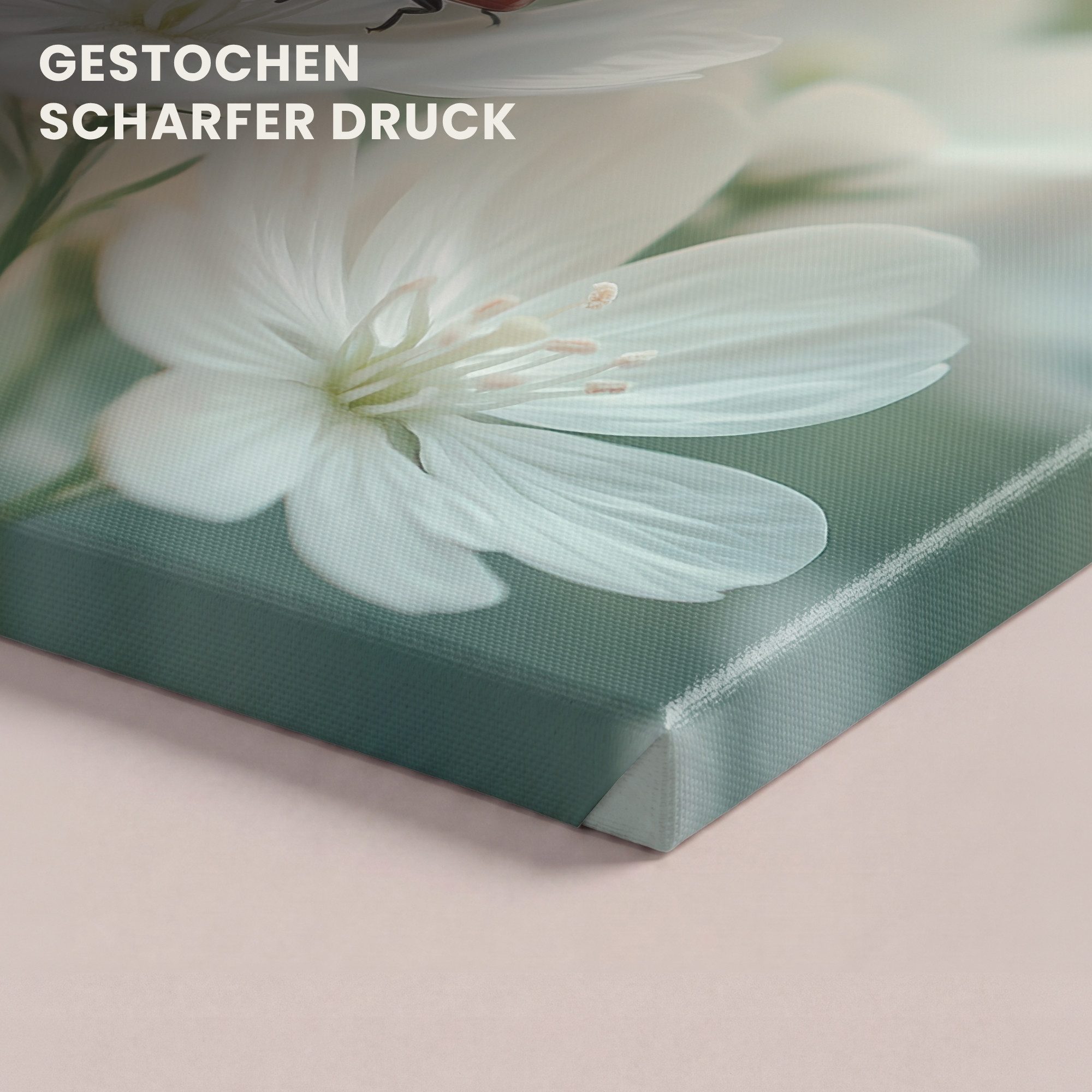 OneMillionCanvasses® Leinwandbild Marienkäfer - Blumen - Weiß, Fotodruck (1 St), Leinwand Bilder Klein, Wand Dekoration Aesthetic 30x20 cm – Bild 3 von 5
