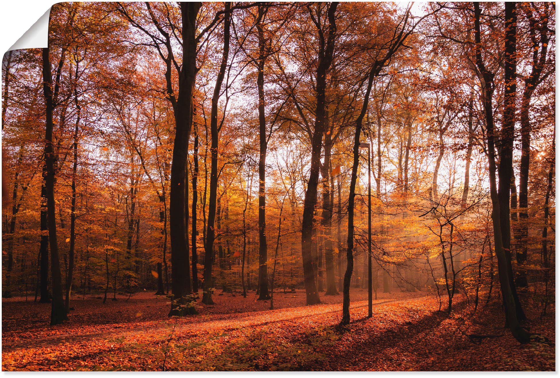 versch. im oder Größen als in Poster Wandaufkleber Wald Leinwandbild, (1 Alubild, Herbst II, Artland Sonnenaufgang Wandbild St),