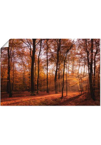 Artland Paveikslas »Sonnenaufgang im Herbst II...