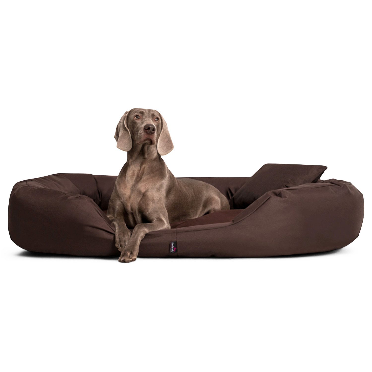 tierlando® Tierbett Orthopädisches Hundebett SAMMY, Robuster Polyester, Dicke Umrandung, Dicke Umrandung zur bequemen Kopfablage