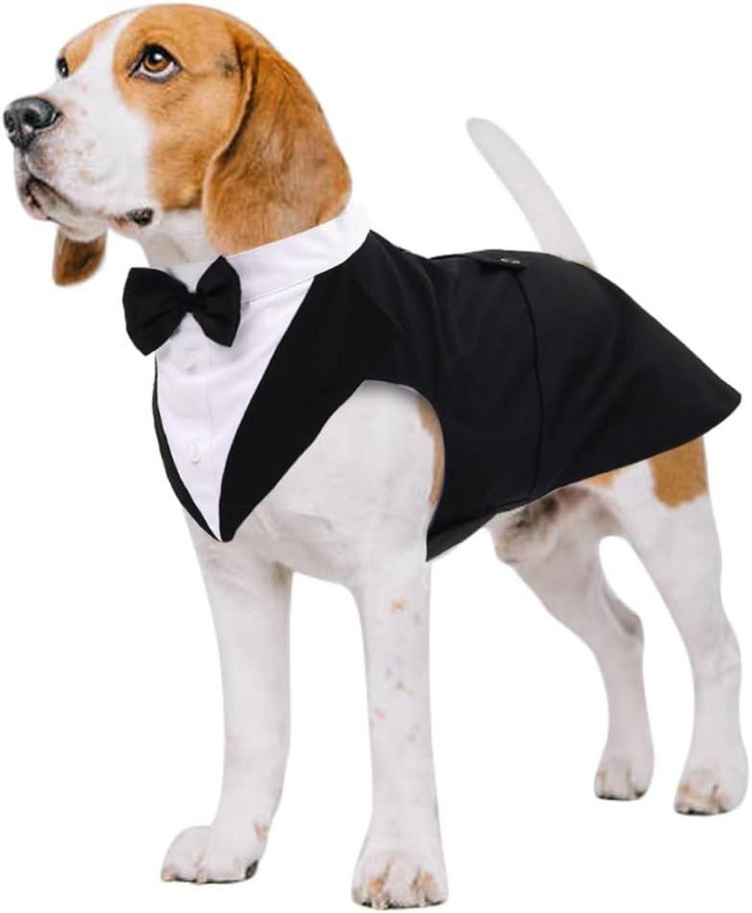Hundefliege Hund Smokingshirt Bandana Set Haustier Hochzeit Halloween S-XXL