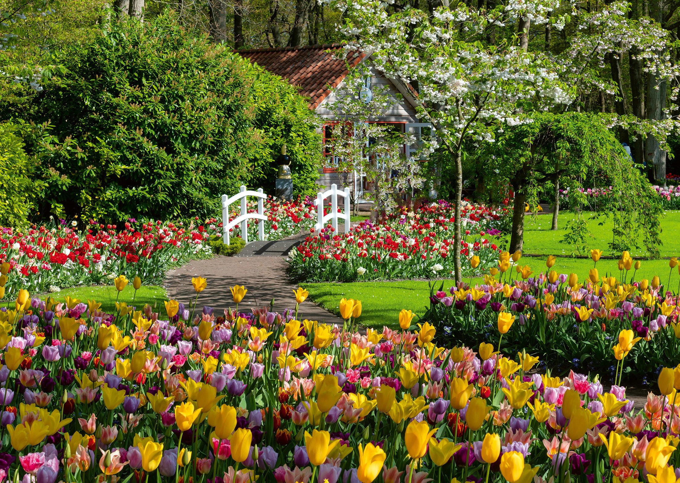 Ravensburger Puzzle Beautiful Gardens, Keukenhof Gardens, Netherlands, 1000 günstig online kaufen