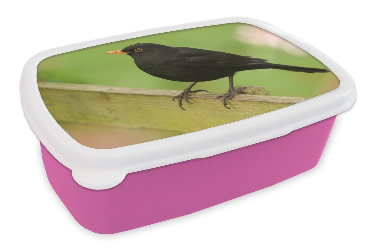 MuchoWow Lunchbox Amsel auf einem grünen Holzzaun, Kunststoff, (2-tlg), Brotbox für Erwachsene, Brotdose Kinder, Snackbox, Mädchen, Kunststoff rosa