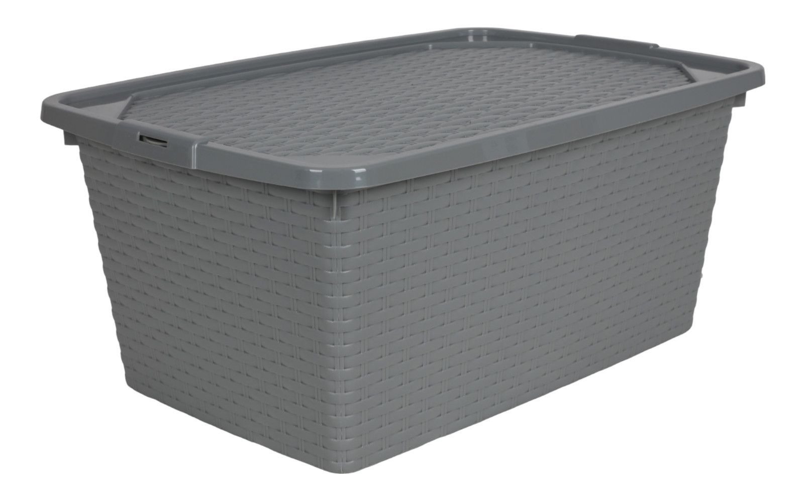 Heidrun Aufbewahrungsbox Aufbewahrungsbox 40 L Rattanoptik Dekobox Aufbewahrungskiste Kiste