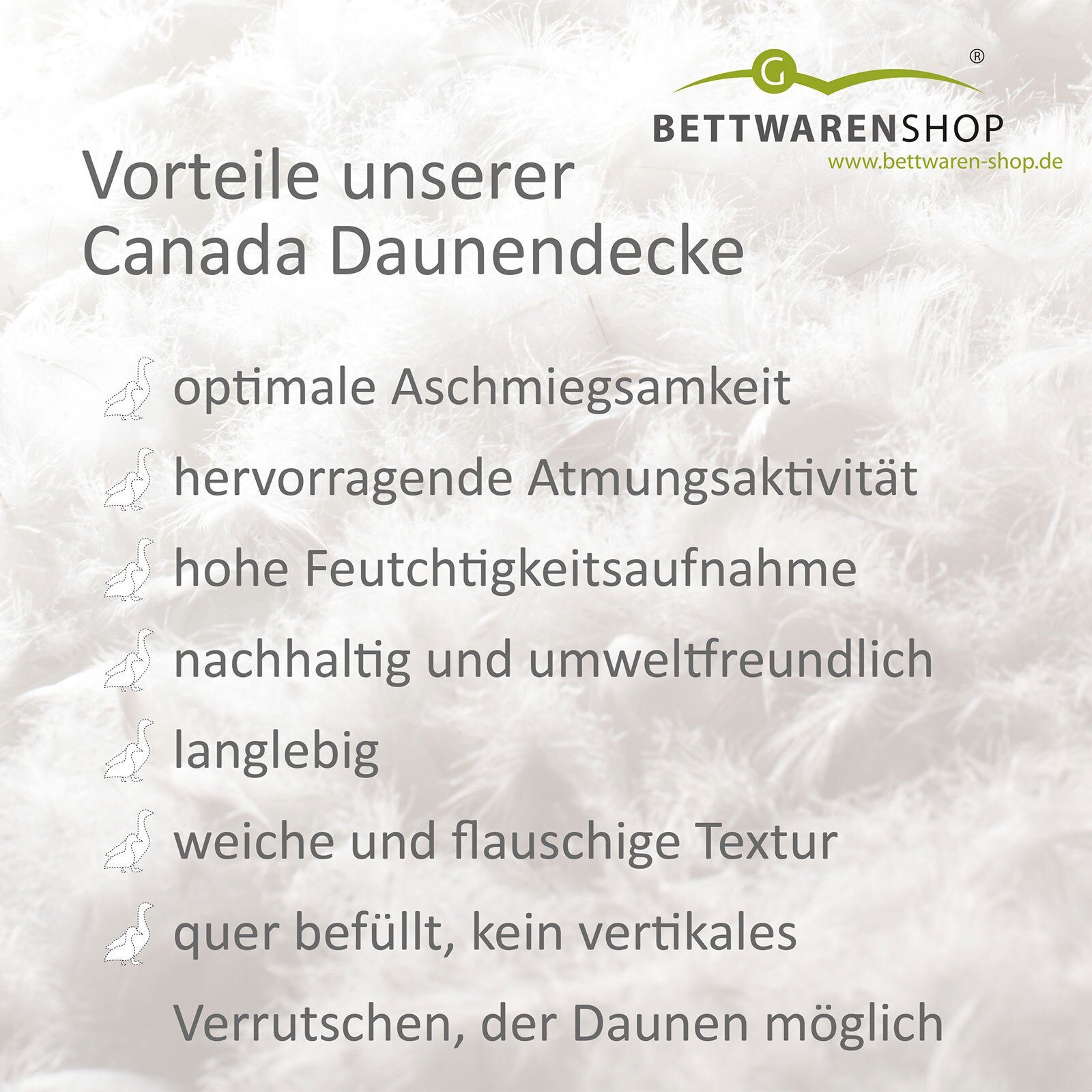 Daunenbettdecke, Canada, 100% weich Bezug: Daunen, und warm bauschig 100% kuschlig Baumwolle, Füllung: BETTWARENSHOP,