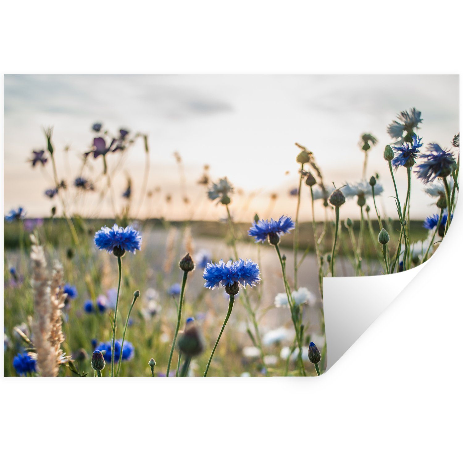 MuchoWow Wandsticker Blumen - Sommer - Kornblume - Blau - Sonne - Wolken (1 St), Wandtattoo, Selbstklebend, Wohnzimmer, 30x20 cm