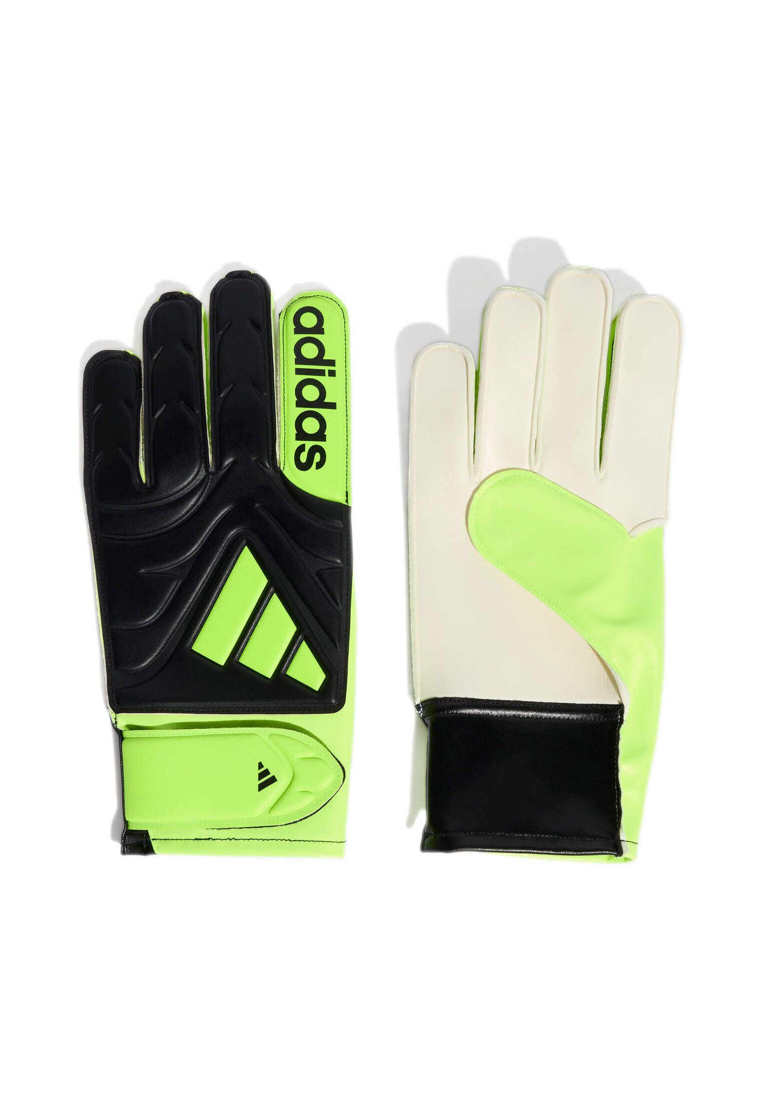 adidas Performance Torwarthandschuhe Torwarthandschuhe COPA CLUB günstig online kaufen