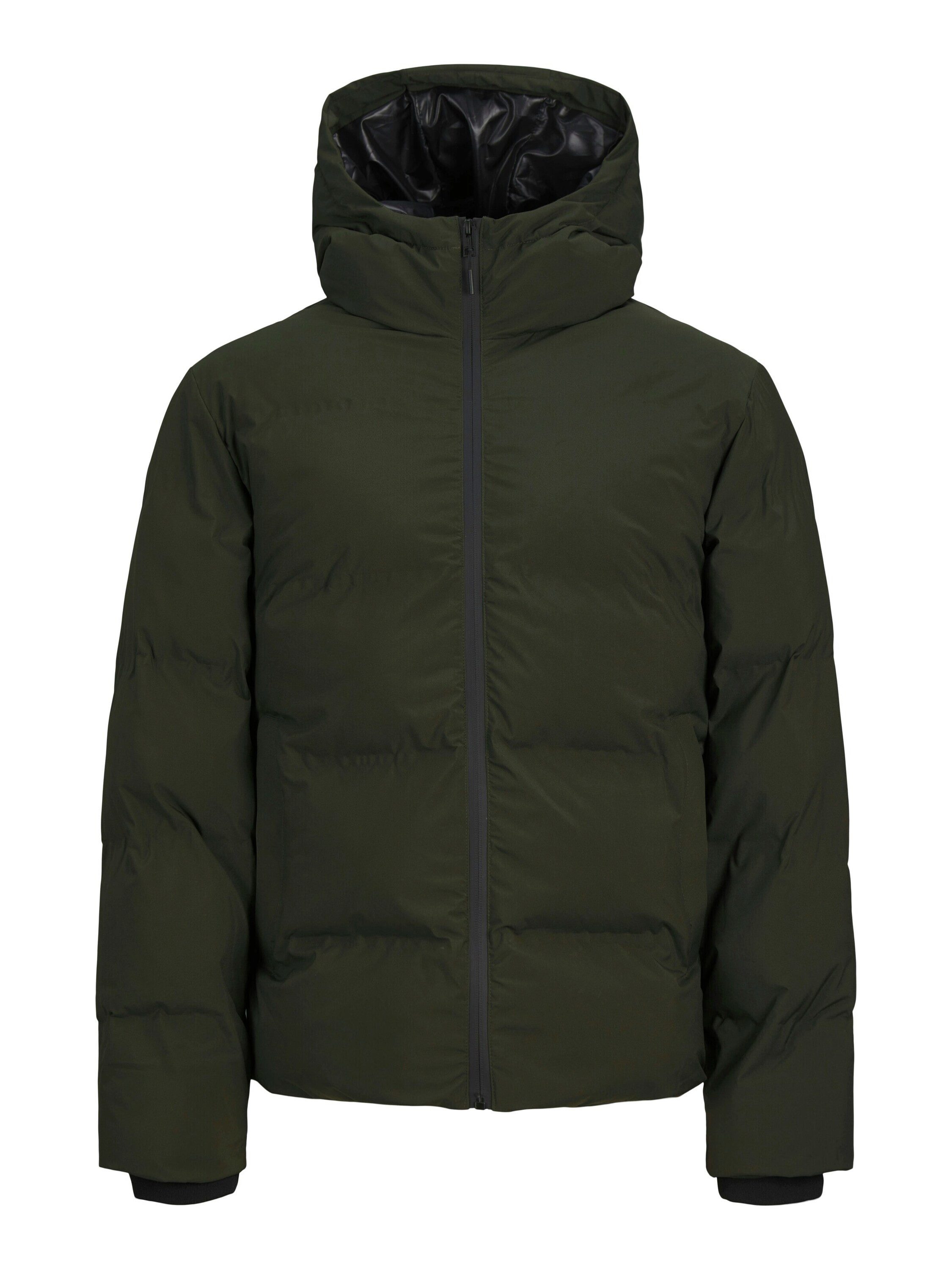 Winterjacke JJPayne