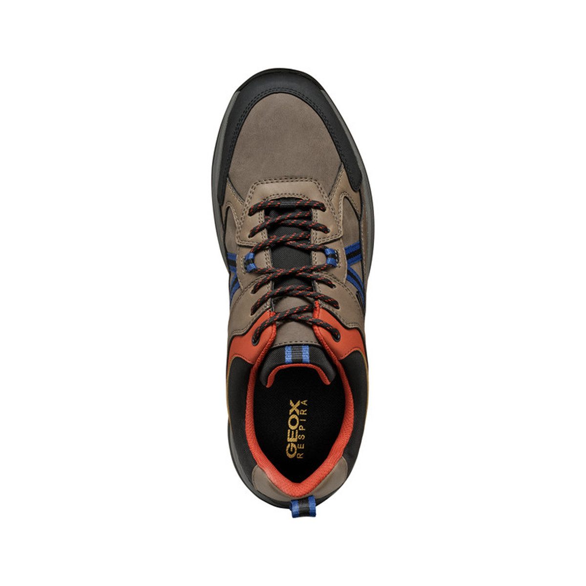 Geox GEOX TERRESTRE, Sneaker, Braun kombiniert, Herren Sneaker