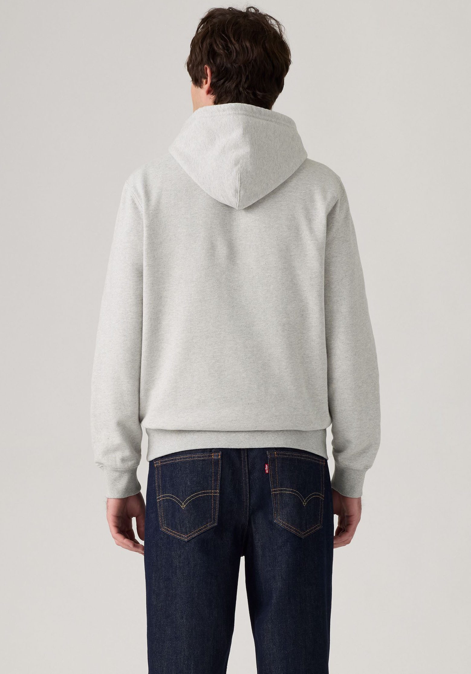 Levi's® Hoodie STANDARD GRAPHIC HOOD mit Kängurutasche