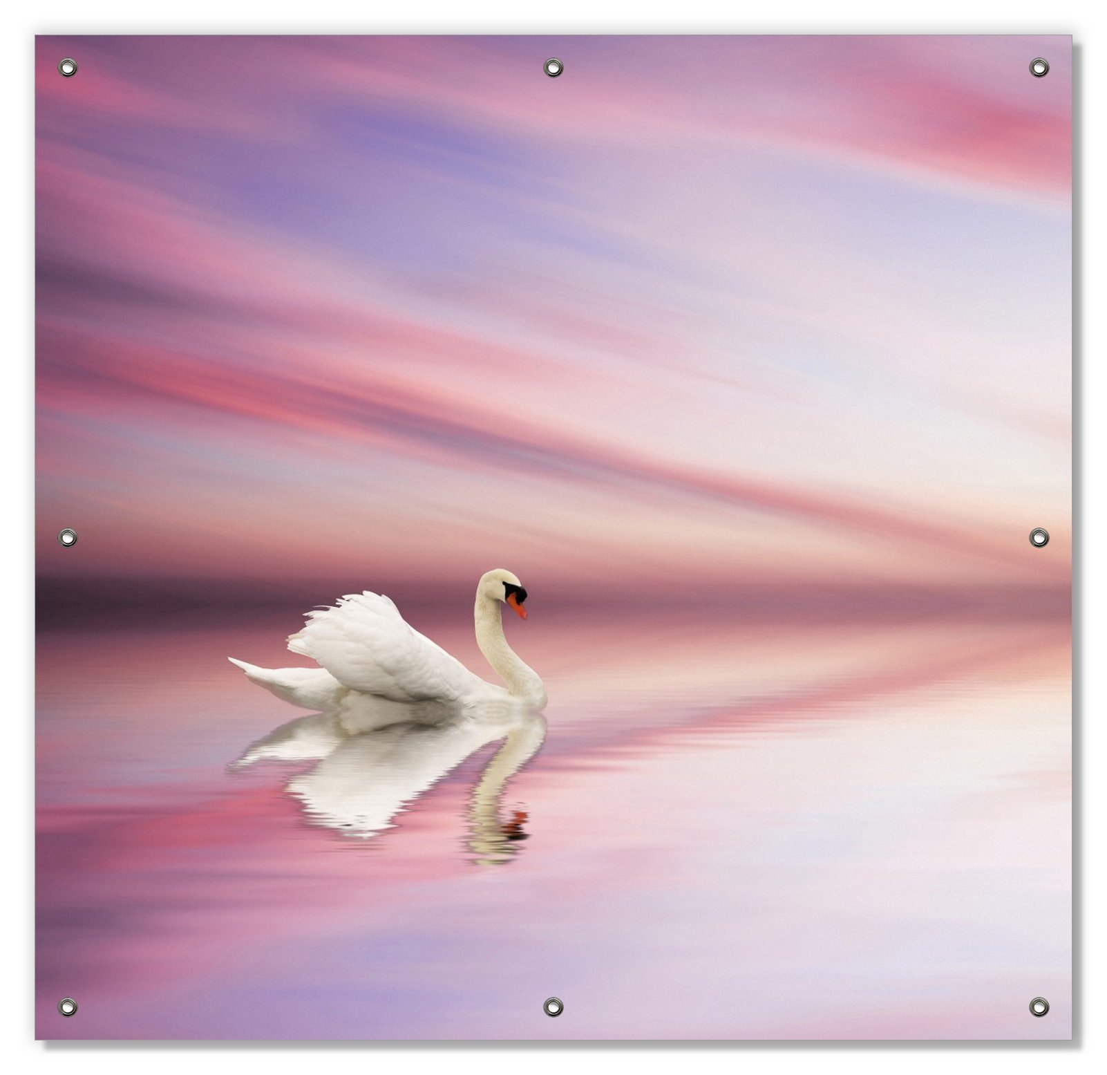 Sonnenschutz Weißer Schwan im rosafarbenen See, Wallario, blickdicht, mit Saugnäpfen, wiederablösbar und wiederverwendbar | Fensterfolien