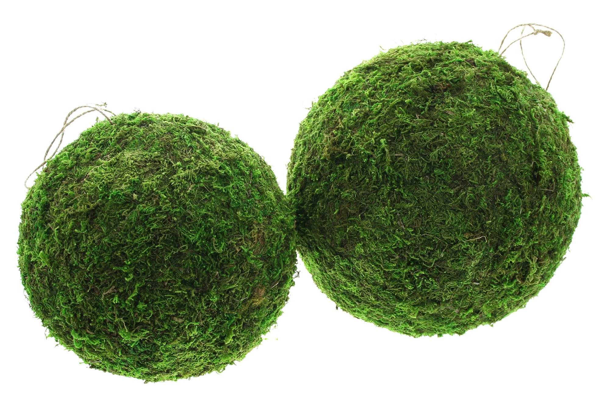 Dekoleidenschaft Dekohänger "Mooskugel" Hängedeko, Dekokugeln, Fensterdeko, günstig online kaufen