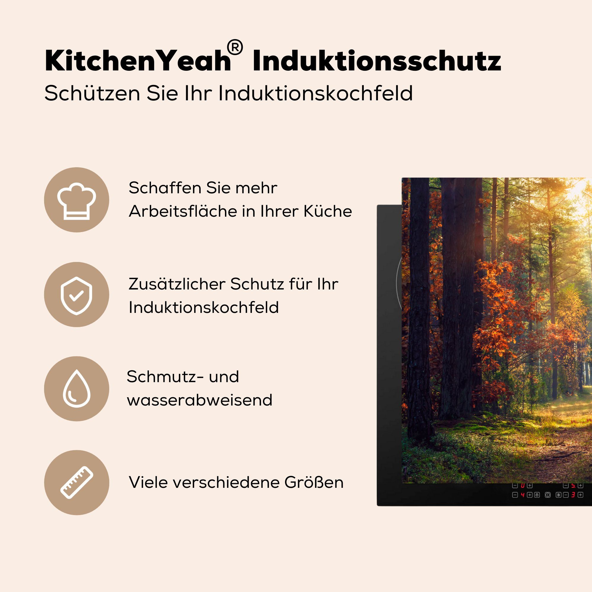 - küche, Wald Herdblende-/Abdeckplatte tlg), Vinyl, MuchoWow Schutz Ceranfeldabdeckung für cm, Bäume, (1 81x52 Herbst - Induktionskochfeld die