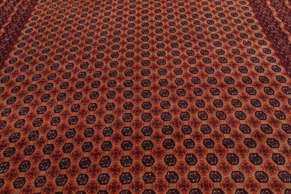 Afghan mm 6 246x342 rechteckig, Handgeknüpfter Nain Mauri Höhe: Trading, Orientteppich, Orientteppich