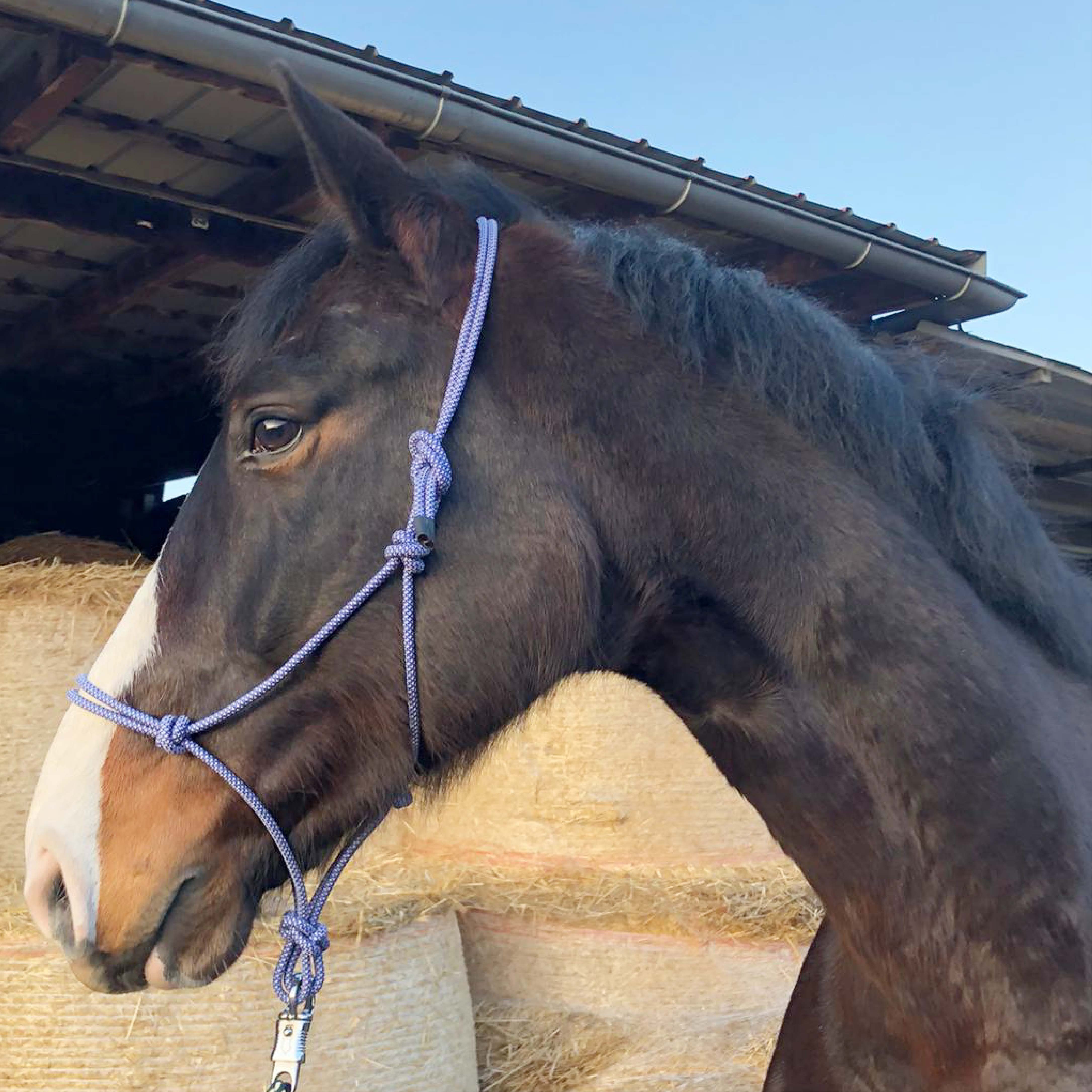 Pferdelinis Knotenhalfter Knotenhalfter für Pferde, Knotenhalfter für Shetty, Pony, Cob, Wb, Knoten individuell verstellbar