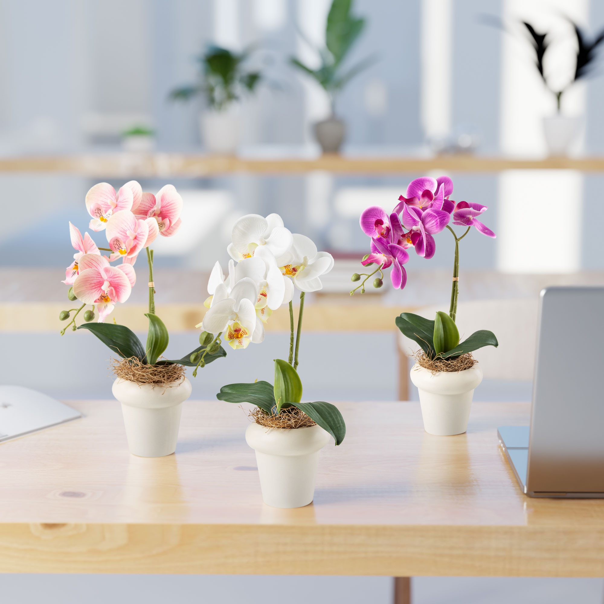 Kunstblume Kunstblumen im Topf, Künstliche Blumen wie echt, Deko Blumen Geranie, Kamelie, Orchidee, Azalee, Veilchen, PASCH, Hochwertiger Keramiktopf