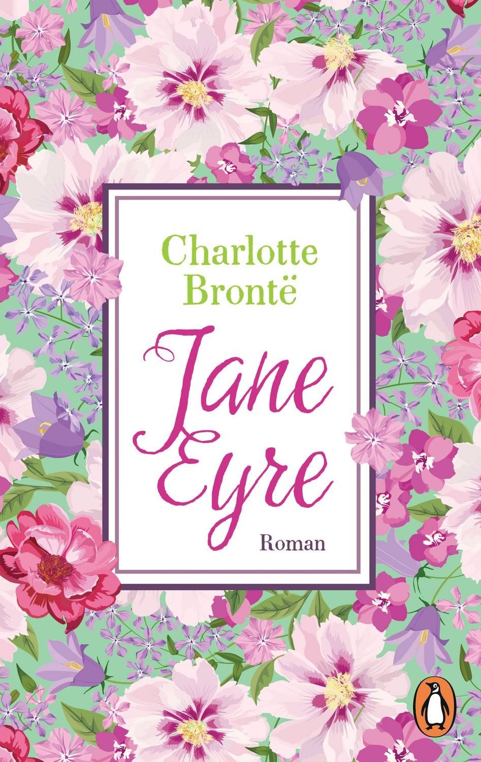 Jane Eyre / Charlotte Brontë, Roman